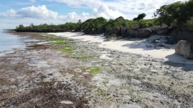 Tanzanya 'nın Zanzibar kıyısındaki okyanusta alçak gelgit manzarası, yavaş çekim