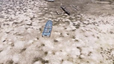 Zanzibar adasının kıyısı, Tanzanya, alçak gelgit, yavaş çekim