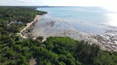 Tanzanya 'nın Zanzibar kıyısındaki okyanusta alçak gelgit manzarası, yavaş çekim
