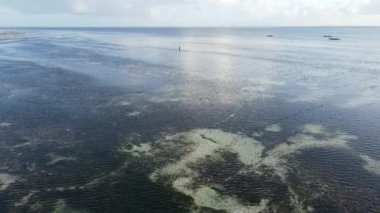 Tanzanya 'nın Zanzibar kıyısındaki okyanusta alçak gelgit manzarası, yavaş çekim
