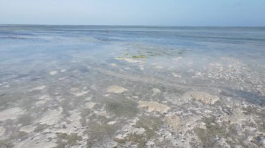 Zanzibar, Tanzanya - kıyıya yakın okyanusta alçak gelgitin havadan görüntüsü