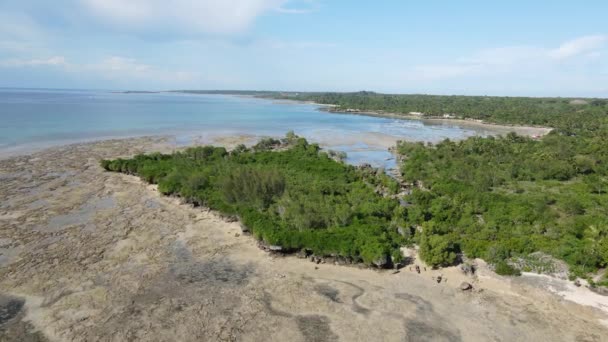 Zanzibár sziget partja, Tanzánia apálykor, lassított felvétel — Stock videók
