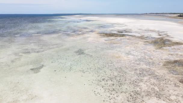 Alacsony dagály az óceánban, Zanzibár partjainál, Tanzániában, lassított felvétel — Stock videók