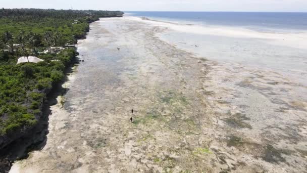 Ocean podczas odpływu w pobliżu wybrzeża wyspy Zanzibar, Tanzania, zwolnione tempo — Wideo stockowe