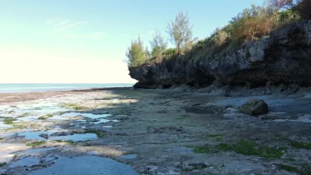 Aerial view of low tide in the ocean near the coast of Zanzibar, Tanzania, slow motion — Stock Video