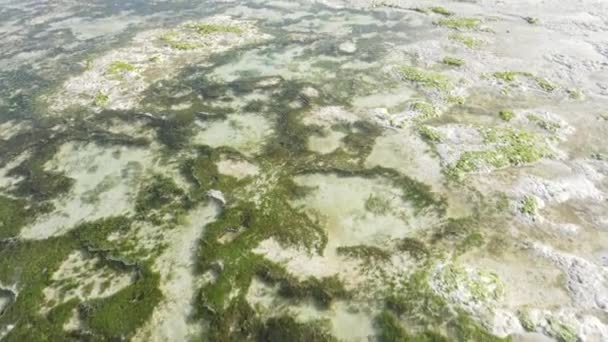 Вид с воздуха на низкий прилив в океане у берегов Занзибара, Танзания, замедленная съемка — стоковое видео