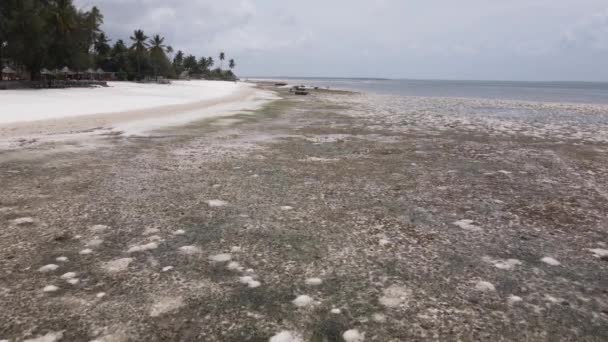 Zanzibar, Tanzânia - vista aérea da maré baixa no oceano perto da costa — Vídeo de Stock