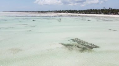 Zanzibar adasının kıyısı, Tanzanya, alçak gelgit, yavaş çekim