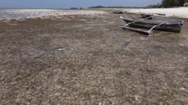 Tanzanya 'nın Zanzibar kıyısındaki okyanusta alçak gelgit manzarası, yavaş çekim