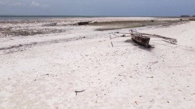 Zanzibar adasının kıyısı, Tanzanya, alçak gelgit, yavaş çekim