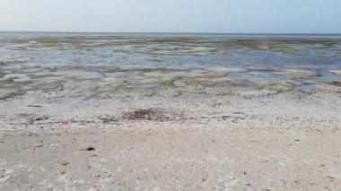 Tanzanya 'nın Zanzibar kıyısındaki okyanusta gelgit, yavaş çekim