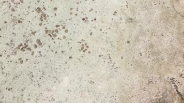 Okyanus, Tanzanya 'nın Zanzibar adası kıyısında gelgitte, yavaş çekim