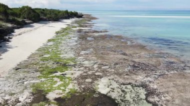 Okyanus, Tanzanya 'nın Zanzibar adası kıyısında gelgitte, yavaş çekim