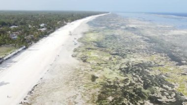 Tanzanya 'nın Zanzibar kıyısındaki okyanusta alçak gelgit manzarası, yavaş çekim