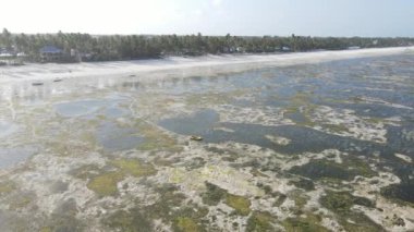 Tanzanya 'nın Zanzibar kıyısındaki okyanusta alçak gelgit manzarası, yavaş çekim