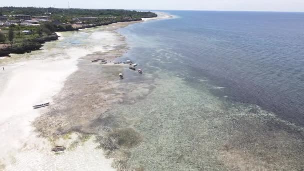 Zanzibar, Tanzania - aerial view of low tide in the ocean near the coast — Stock Video