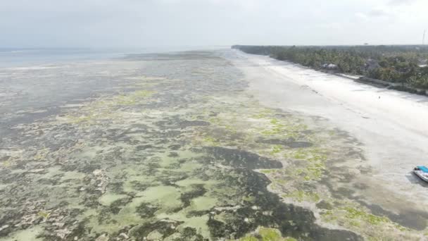 Vista aérea da maré baixa no oceano perto da costa de Zanzibar, Tanzânia, câmera lenta — Vídeo de Stock