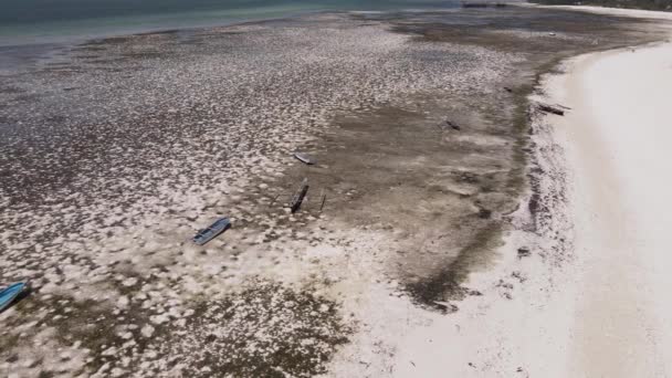 Oceano na maré baixa perto da costa da ilha de Zanzibar, Tanzânia, câmera lenta — Vídeo de Stock