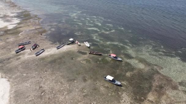 Ozean bei Ebbe vor der Küste der Insel Sansibar, Tansania, Zeitlupe — Stockvideo