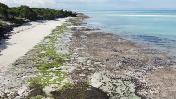 Oceaan bij eb bij de kust van Zanzibar eiland, Tanzania, slow motion — Stockvideo