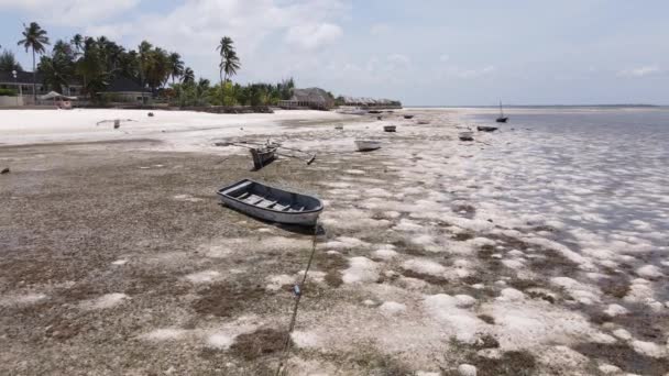 Isola di Zanzibar, Tanzania con bassa marea, rallentatore — Video Stock