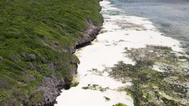 Veduta aerea della bassa marea nell'oceano vicino alla costa di Zanzibar, Tanzania, rallentatore — Video Stock