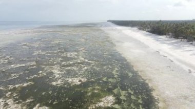 Tanzanya 'nın Zanzibar kıyısındaki okyanusta gelgit, yavaş çekim