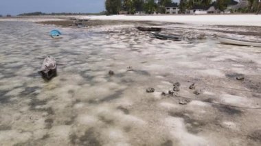 Zanzibar, Tanzanya - kıyıya yakın okyanusta alçak gelgitin havadan görüntüsü