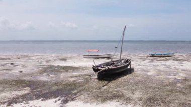 Zanzibar, Tanzanya - kıyıya yakın okyanusta alçak gelgitin havadan görüntüsü