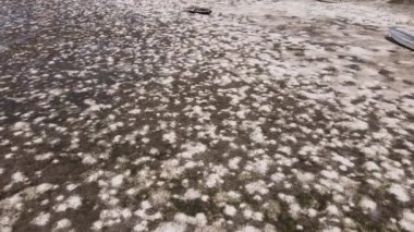 Tanzanya 'nın Zanzibar kıyısındaki okyanusta gelgit, yavaş çekim