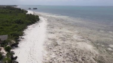Zanzibar adasının kıyısı, Tanzanya, alçak gelgit, yavaş çekim