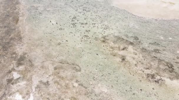 Aerial view of low tide in the ocean near the coast of Zanzibar, Tanzania, slow motion — Stock Video