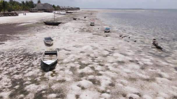 Ωκεανός σε χαμηλή παλίρροια κοντά στις ακτές της Ζανζιβάρης νησί, Τανζανία, αργή κίνηση — Αρχείο Βίντεο