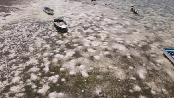 Orilla de la isla de Zanzíbar, Tanzania en marea baja, cámara lenta — Vídeos de Stock