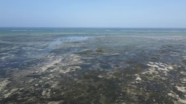 Luftaufnahme von Ebbe im Ozean nahe der Küste von Sansibar, Tansania, Zeitlupe — Stockvideo