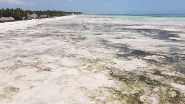 Tanzanya 'nın Zanzibar kıyısındaki okyanusta alçak gelgit manzarası, yavaş çekim — Stok video