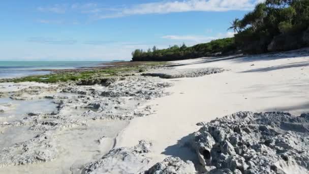 Zanzibár, Tanzánia - alacsony dagály a tenger partjainál — Stock videók