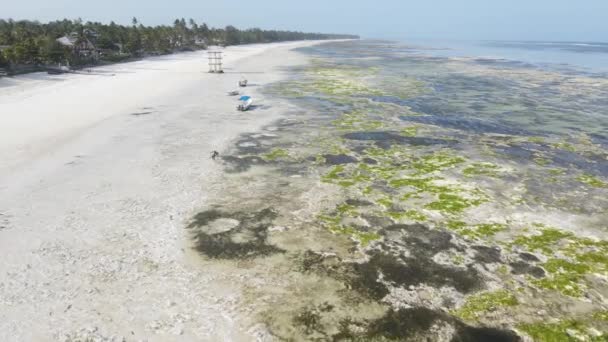 Vista aérea da maré baixa no oceano perto da costa de Zanzibar, Tanzânia, câmera lenta — Vídeo de Stock