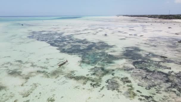 Marea baja en el océano cerca de la costa de Zanzíbar, Tanzania, cámara lenta — Vídeos de Stock