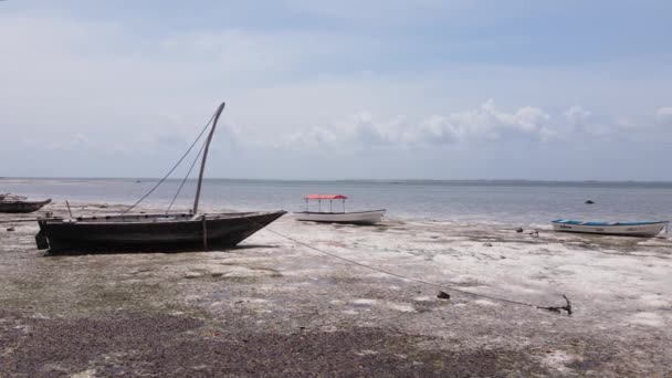 Берег острова Занзибар, Танзания во время отлива, замедленная съемка — стоковое видео