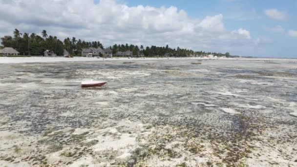 Tanzanya 'nın Zanzibar kıyısındaki okyanusta alçak gelgit manzarası, yavaş çekim — Stok video