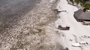 Zanzibar, Tanzanya - kıyıya yakın okyanusta alçak gelgitin havadan görüntüsü