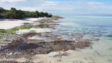 Tanzanya 'nın Zanzibar kıyısındaki okyanusta gelgit, yavaş çekim