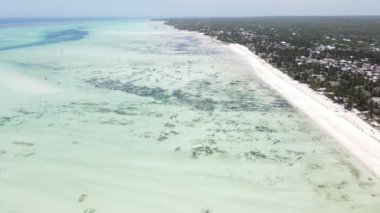 Zanzibar adasının kıyısı, Tanzanya, alçak gelgit, yavaş çekim