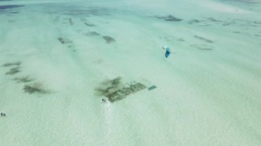 Zanzibar, Tanzanya: Kıyıya yakın uçurtma, yavaş çekim