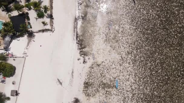 Widok z lotu ptaka w oceanie przy wybrzeżu Zanzibaru, Tanzania, zwolnione tempo — Wideo stockowe