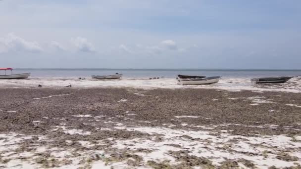 Океан во время отлива у побережья острова Занзибар, Танзания, замедленное движение — стоковое видео