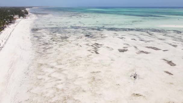 Zanzibar, Tanzania Veduta aerea della bassa marea nell'oceano vicino alla costa — Video Stock