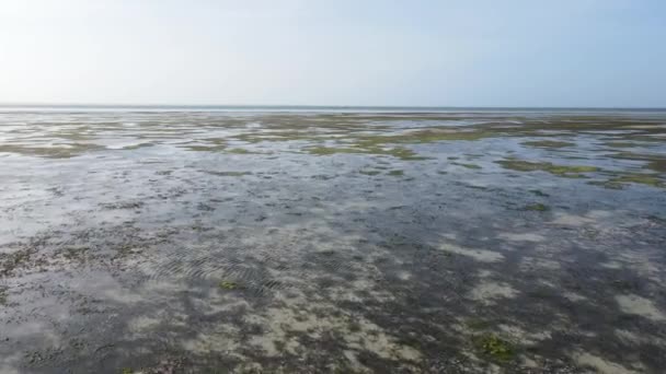 Ocean at low tide near the coast of Zanzibar island, Tanzania, slow motion — Stock Video