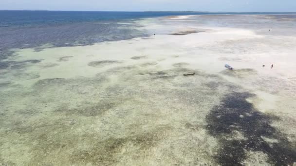 タンザニアのザンジバル-海岸近くの海の干潮の空中ビュー — ストック動画
